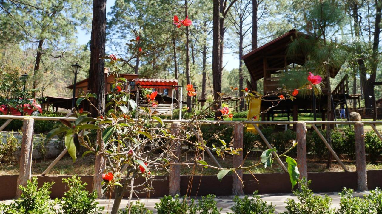 Rincon Del Bosque Hotel Масамитла Екстериор снимка