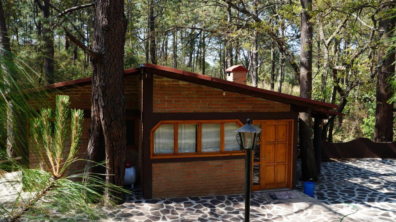 Rincon Del Bosque Hotel Масамитла Екстериор снимка